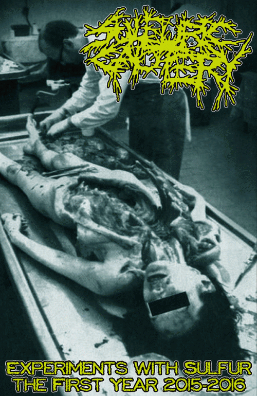 Sulfuric Cautery : Experiments with Sulfur - The First Year 2015-2016